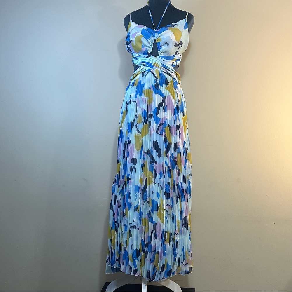 Astr the Label Aquata Floral Pleated Maxi Dress